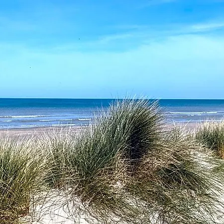 Reve Bleu