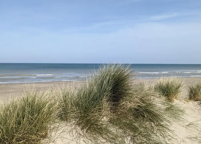 Couette-café Reve Bleu 3*